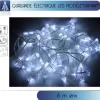 Guirlande Lumineuse 40 Led Blanche Avec Diamant