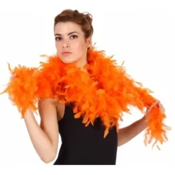 Guirlande Plume Boa Pas Cher