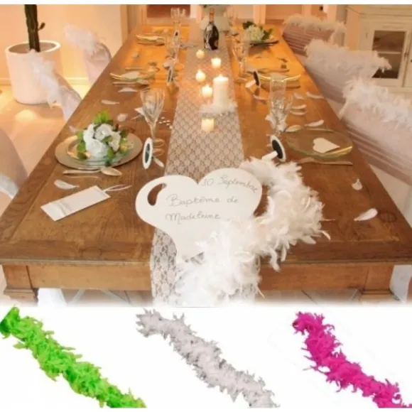 Guirlande Plume Boa Pas Cher