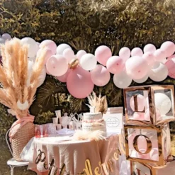 Kit Arche De 57 Ballons Mariage Babypink