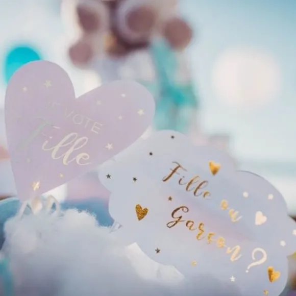 Kit Photobooth Gender Reveal Fille Ou Gar On X 12