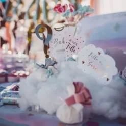 Kit Photobooth Gender Reveal Fille Ou Gar On X 12