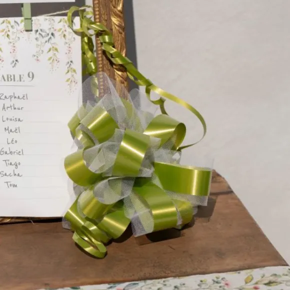 Lot De 5 Grands Noeuds En Tulle Vert Anis 50Mm