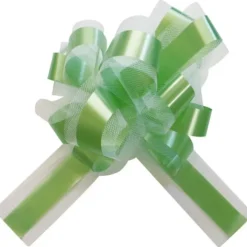 Lot De 5 Grands Noeuds En Tulle Vert Anis 50Mm