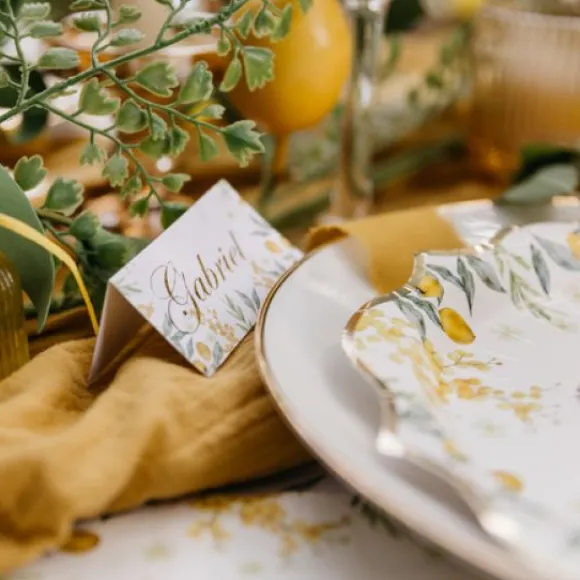 Marque Place Citron Mimosa X 10 Pi Ces