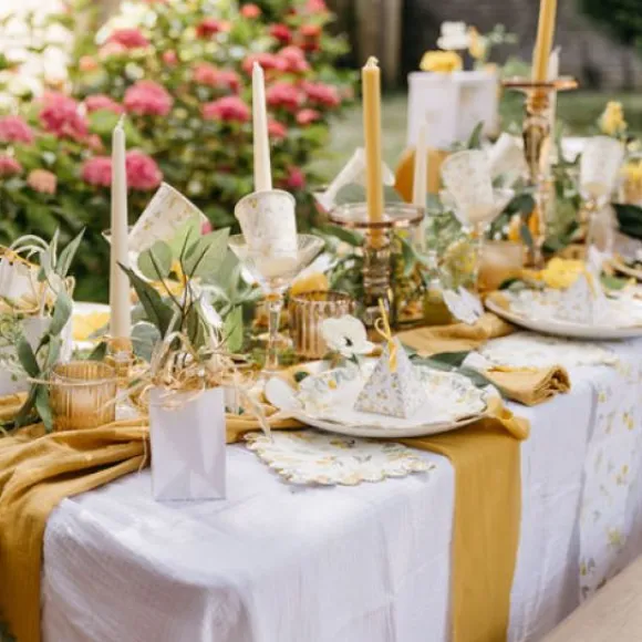 Marque Place Citron Mimosa X 10 Pi Ces