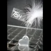Marque Place Coeur Transparent Avec Tige