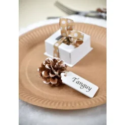 Marque Place Etiquette En Bois Blanc X6 Pi Ces