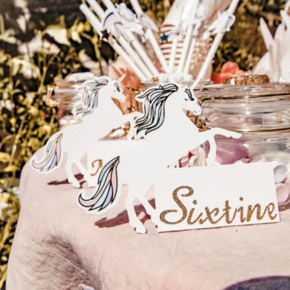 Marque Place Licorne Pastel X 8 Pi Ces