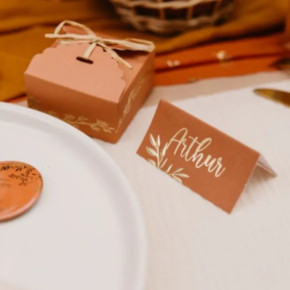 Marque Place Theme Jolis Brins Terracotta X 10 Pi Ces