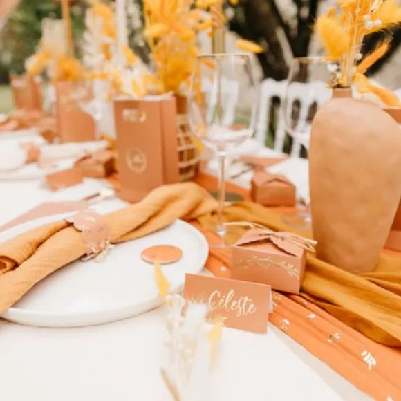 Marque Place Theme Jolis Brins Terracotta X 10 Pi Ces