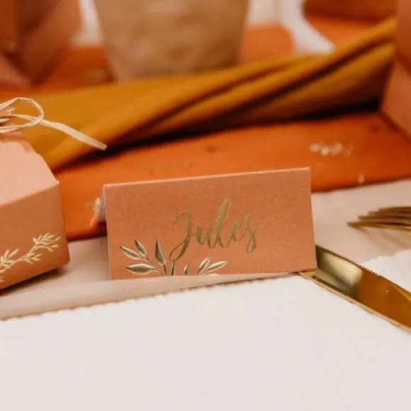 Marque Place Theme Jolis Brins Terracotta X 10 Pi Ces