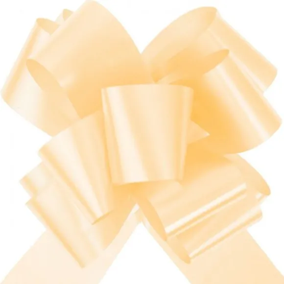 Noeud Automatique Corail X10