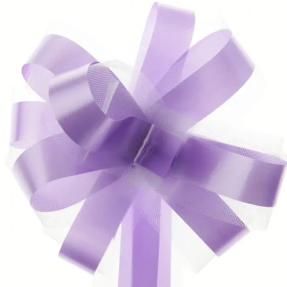 Noeud Automatique En Tulle Parme X 5 Pi Ces