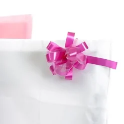 Noeud Automatique En Tulle Rouge X 5 Pi Ces