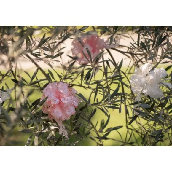 Noeud Automatique Fleur Blanc X 5 Pi Ces