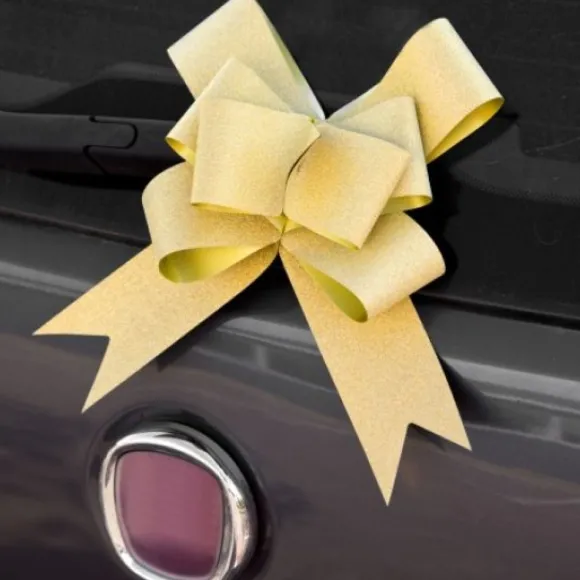 Noeud Automatique Papillon Paillet Or X 2 Pi Ces