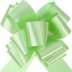 Noeud Automatique Vert Anis X10