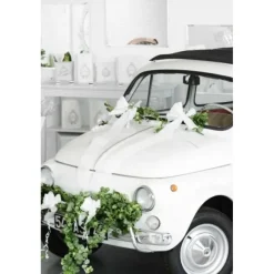 Noeud Automatique Vert Anis X10