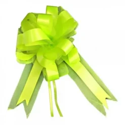 Noeud En Tulle Vert Anis 50Cm X2