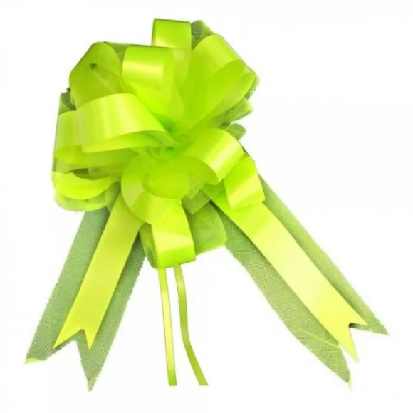 Noeud En Tulle Vert Anis 50Cm X2