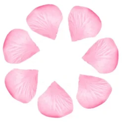 P Tale De Rose X 100 Pi Ces