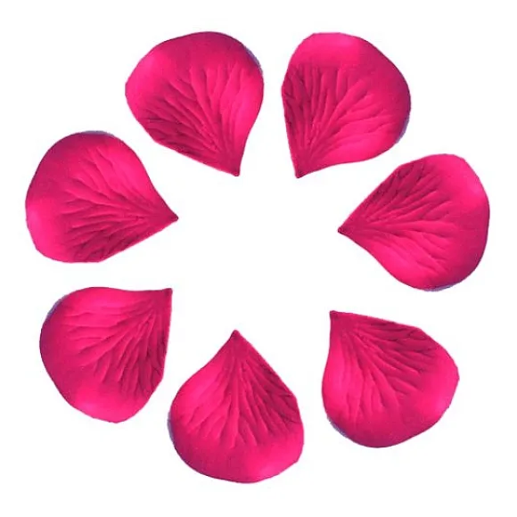 P Tale De Rose X 100 Pi Ces