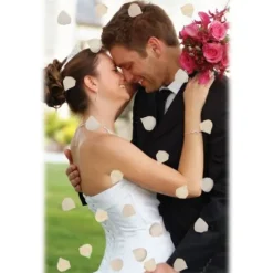 P Tale De Rose X 100 Pi Ces