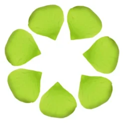 P Tale De Rose X 100 Pi Ces