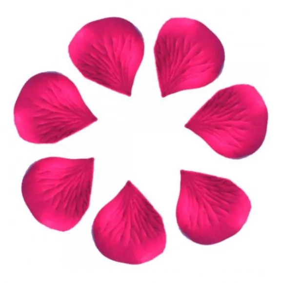 P Tale De Rose X 100 Pi Ces