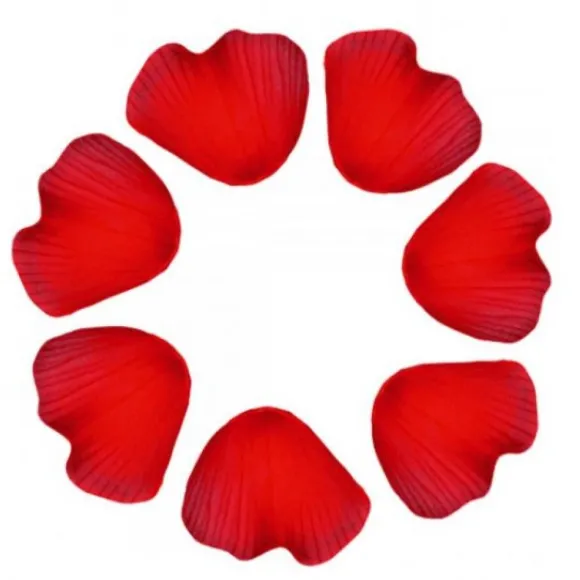 P Tale De Rose X 100 Pi Ces