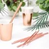 Paille Candy Bar Rose Gold X 10 Pi Ces