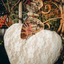 Papillon En Bois Taupe Et Rose Sur Pince