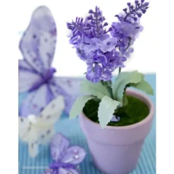 Petit Pot De Lavande Pas Cher