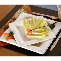 Petite Assiette Carr E Blanche En Fibre De Canne A Sucre 16Cm X 25 Pi Ces