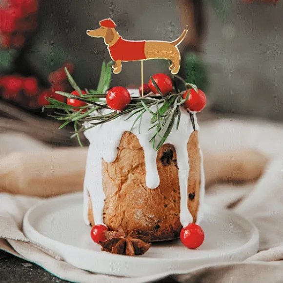 Pics Cocktails Chien Teckel X10 Pi Ces