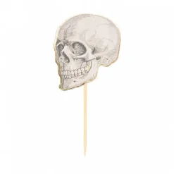 Pics Cocktails Crane De Squelette X10 Pi Ces