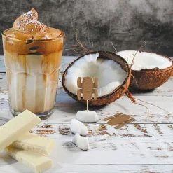 Pics Cocktails Toten Aventurier X10 Pi Ces