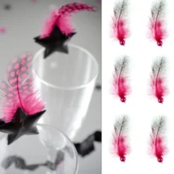 Plume Avec Perle Fuchsia X 6 Pi Ces