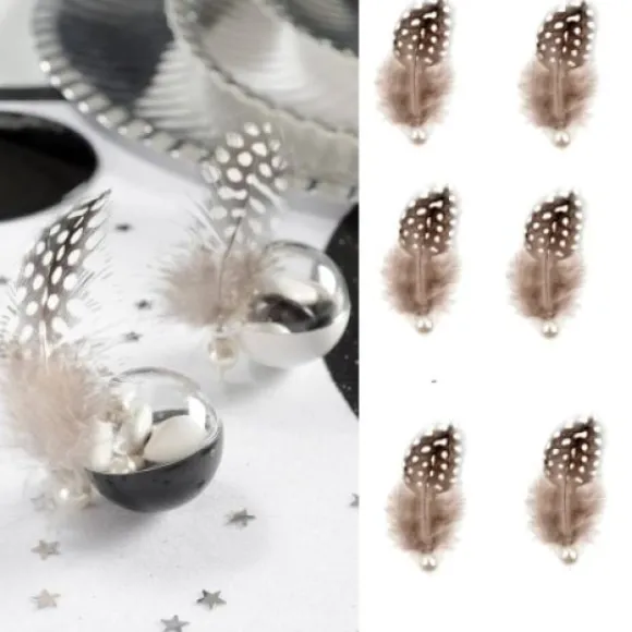 Plume Avec Perle Noir X 6 Pi Ces