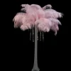 Plume D'Autruche Rose G Ante 55-60Cm