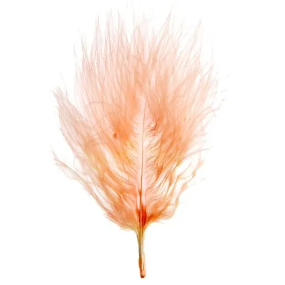 Plume De D Coration Corail 7Cm X 20 Pi Ces