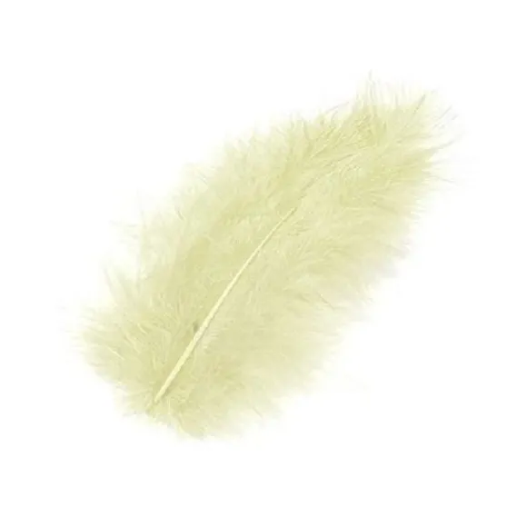 Plume De D Coration Ecru X 20 Pi Ces