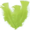 Plume De D Coration Vert Anis 13 Cm X 30 Pi Ces