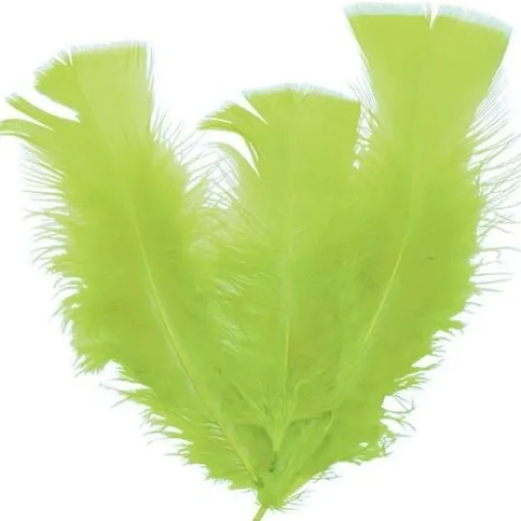 Plume De D Coration Vert Anis 13 Cm X 30 Pi Ces