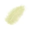 Plume De Décoration 7 Cm X 20 Pi Ces