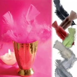 Plume De Décoration 7 Cm X 20 Pi Ces