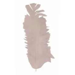 Plume De Décoration 7 Cm X 20 Pi Ces