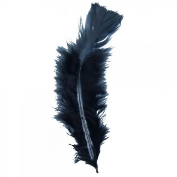 Plume De Décoration 7 Cm X 20 Pi Ces