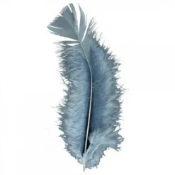 Plume De Décoration 7 Cm X 20 Pi Ces